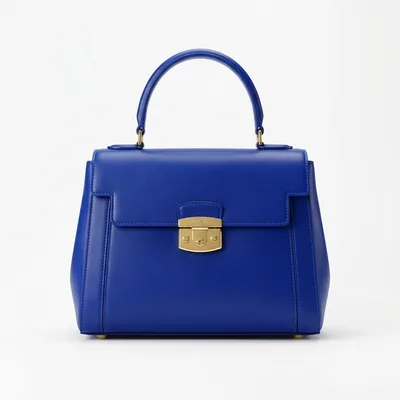 Fashion luxury handbag